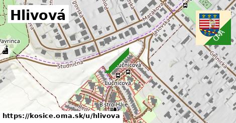 Hlivová, Košice