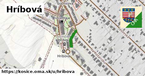 ilustrácia k Hríbová, Košice - 95 m