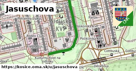 ilustrácia k Jasuschova, Košice - 407 m