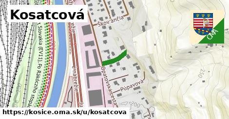 Kosatcová, Košice