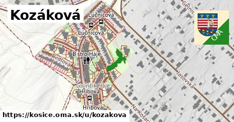 ilustrácia k Kozáková, Košice - 101 m