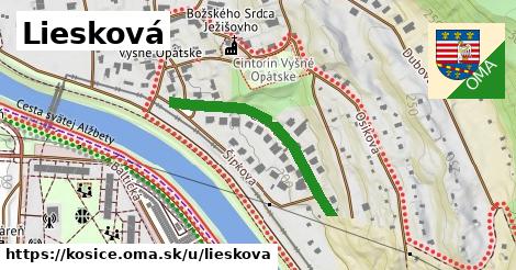ilustrácia k Liesková, Košice - 311 m