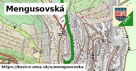 ilustrácia k Mengusovská, Košice - 0,81 km