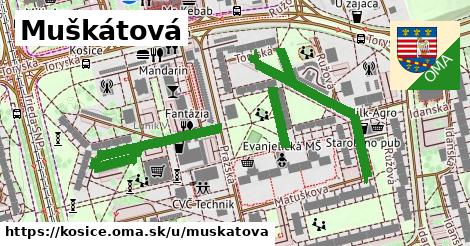 ilustrácia k Muškátová, Košice - 0,76 km