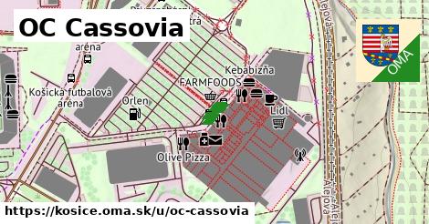 ilustrácia k OC Cassovia, Košice - 82 m