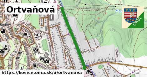 ilustrácia k Ortvaňová, Košice - 670 m