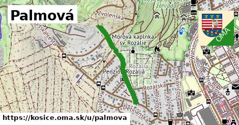ilustrácia k Palmová, Košice - 570 m