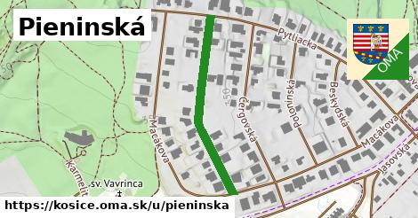 ilustrácia k Pieninská, Košice - 333 m