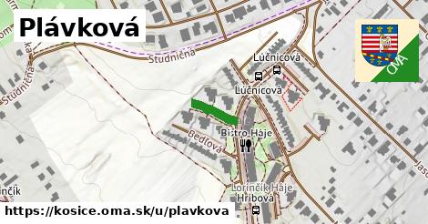 ilustrácia k Plávková, Košice - 87 m