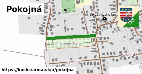 ilustrácia k Pokojná, Košice - 259 m