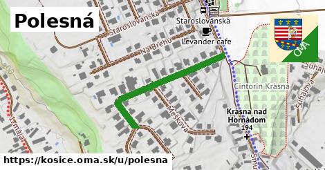 ilustrácia k Polesná, Košice - 340 m
