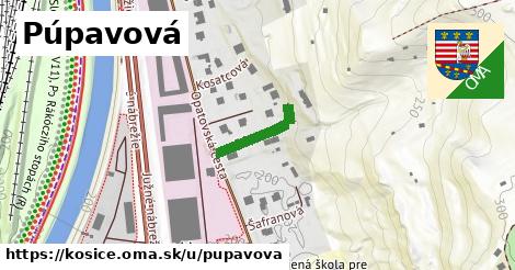 Púpavová, Košice