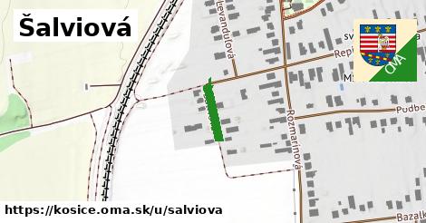 Šalviová, Košice