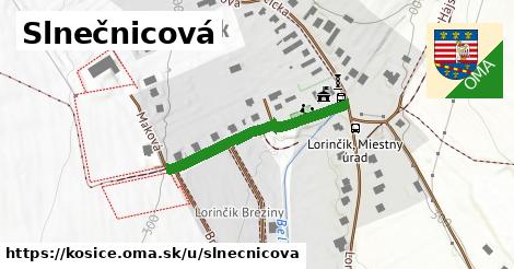 ilustrácia k Slnečnicová, Košice - 283 m