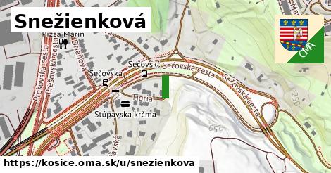 Snežienková, Košice