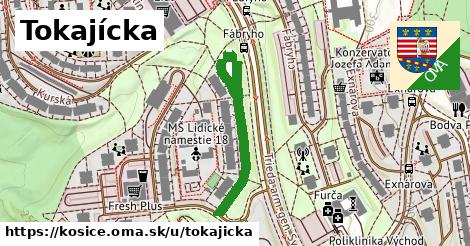 ilustrácia k Tokajícka, Košice - 348 m