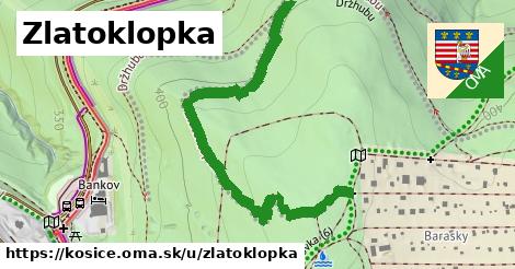 Zlatoklopka, Košice