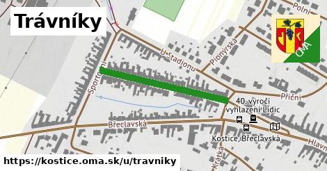 ilustrácia k Trávníky, Kostice - 299 m