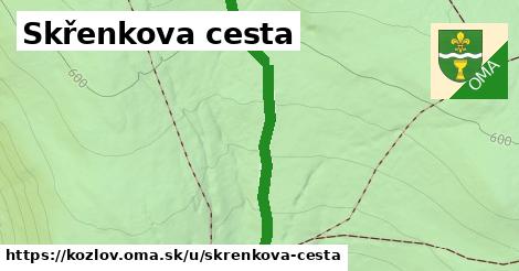 ilustrácia k Skřenkova cesta, Kozlov - 423 m