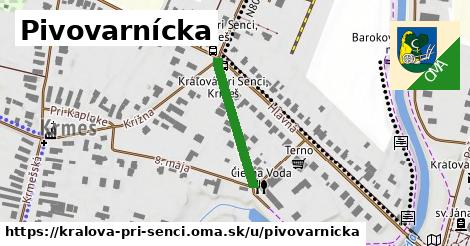 Pivovarnícka, Kráľová pri Senci