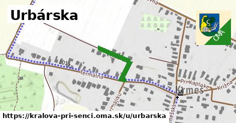 Urbárska, Kráľová pri Senci