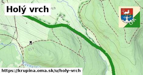 ilustrácia k Holý vrch, Krupina - 1,46 km