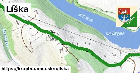 ilustrácia k Líška, Krupina - 2,5 km