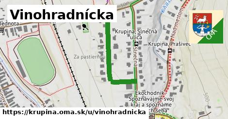 Vinohradnícka, Krupina