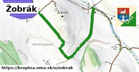 ilustrácia k Žobrák, Krupina - 1,30 km