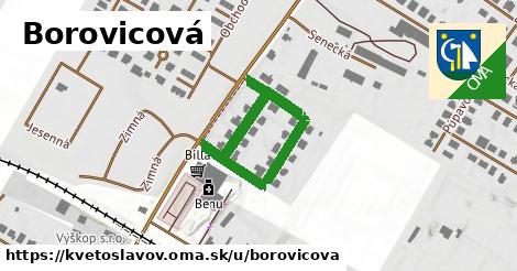 Borovicová, Kvetoslavov