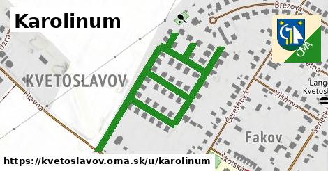 ilustrácia k Karolinum, Kvetoslavov - 0,93 km