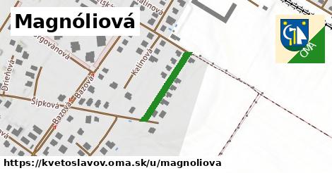 ilustrácia k Magnóliová, Kvetoslavov - 186 m