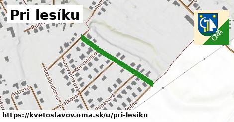 ilustrácia k Pri lesíku, Kvetoslavov - 275 m