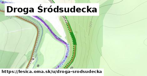 ilustrácia k Droga Śródsudecka, Lesica - 64 m