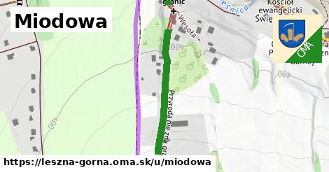 Miodowa, Leszna Górna