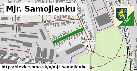 Mjr. Samojlenku, Levice