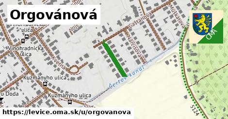 Orgovánová, Levice