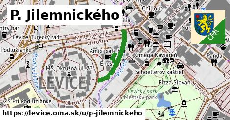 P. Jilemnického, Levice