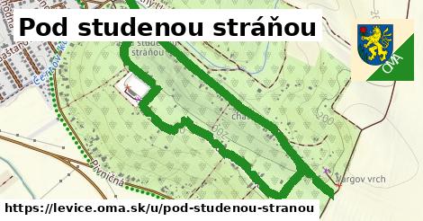 Pod studenou stráňou, Levice