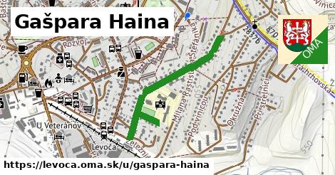 Gašpara Haina, Levoča