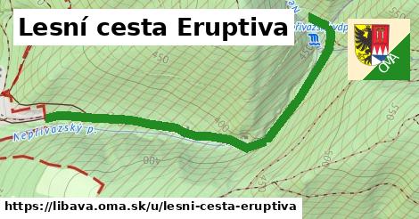 Lesní cesta Eruptiva, Libavá