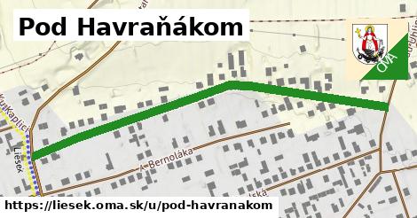 ilustrácia k Pod Havraňákom, Liesek - 650 m