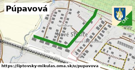 ilustrácia k Púpavová, Liptovský Mikuláš - 459 m