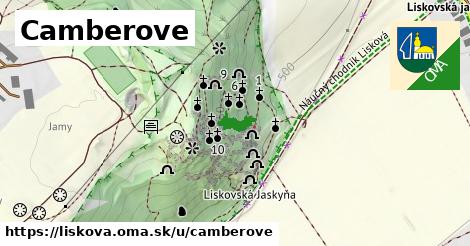 Camberove, Lisková