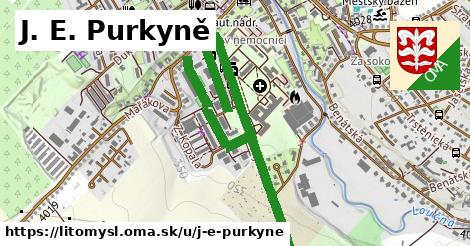 ilustrácia k J. E. Purkyně, Litomyšl - 1,37 km