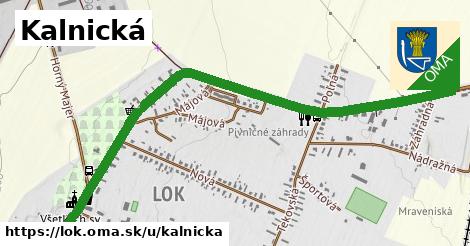 ilustrácia k Kalnická, Lok - 1,66 km