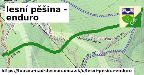 lesní pěšina -enduro, Loučná nad Desnou