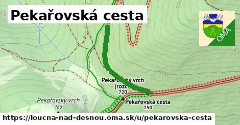 ilustrácia k Pekařovská cesta, Loučná nad Desnou - 631 m
