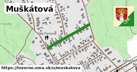 Muškátová, Lozorno