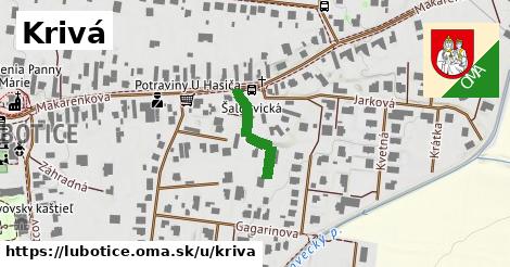 Krivá, Ľubotice